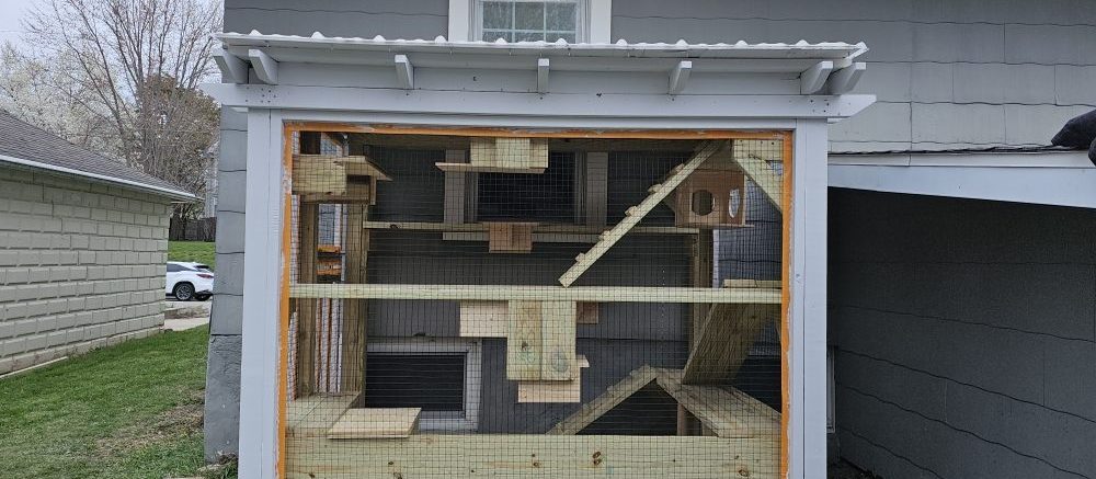 A wooden cat enclosure with mesh walls, built against the side of a grey-sided house, with ramps and shelves visible inside.